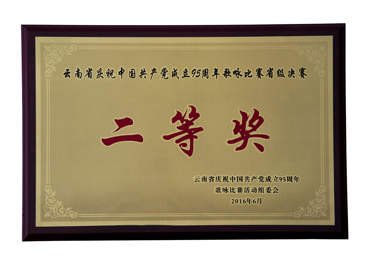 云南省庆祝中国共产党成立95周年歌咏比赛省级决赛二等奖